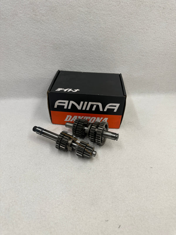 Daytona Renngetriebe