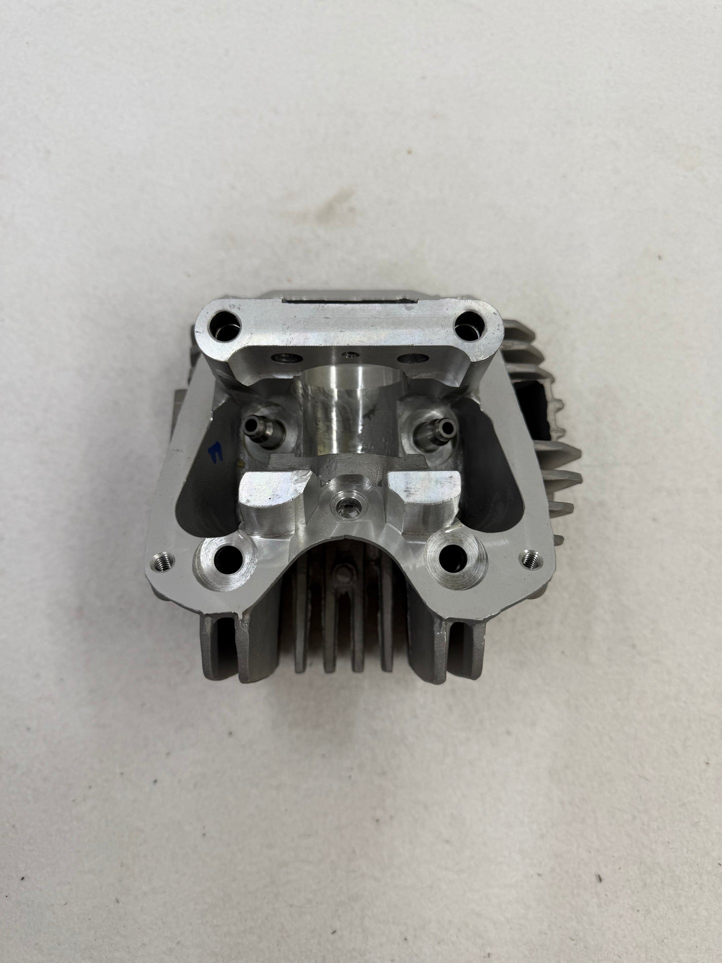 Daytona cylinder head